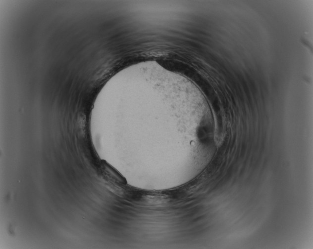 X0000096950556200803071030