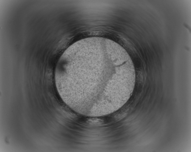 X0000096950557200803071030