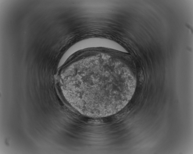 X0000096950559200803071030