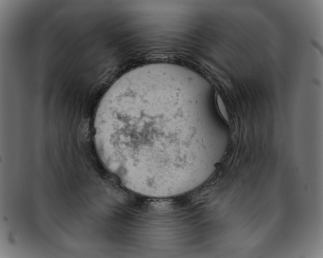 X0000096950560200803071030