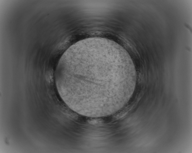 X0000096950561200803071030