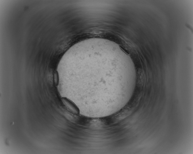 X0000096950562200803071030