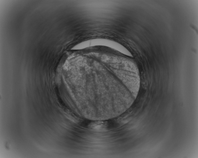 X0000096950563200803071030