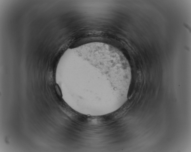 X0000096950564200803071030