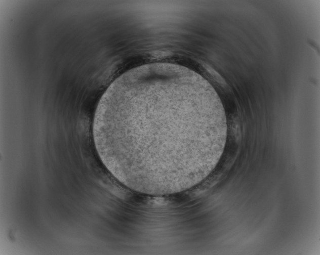 X0000096950565200803071030