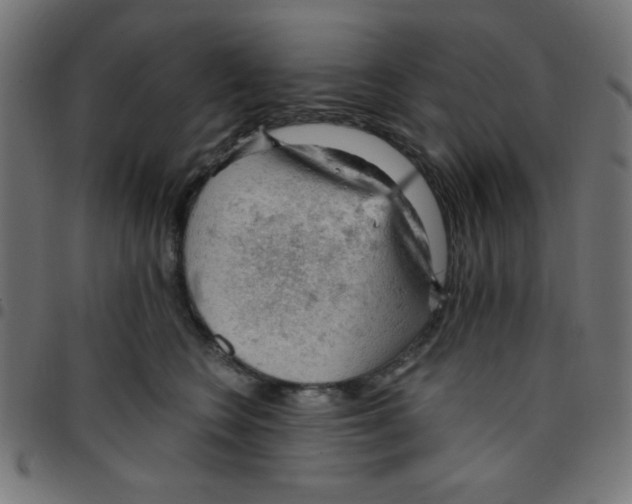 X0000096950566200803071030