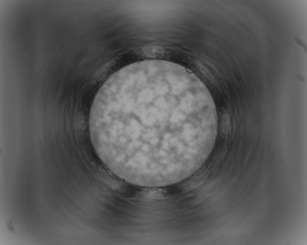 X0000096950569200803071031