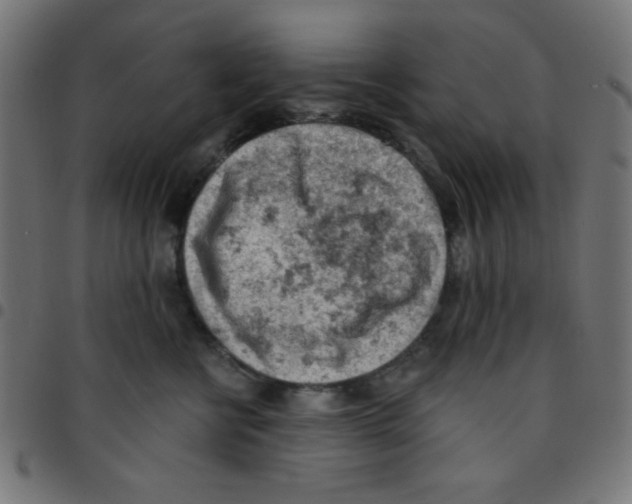 X0000096950570200803071031