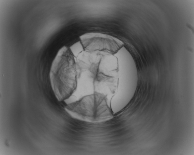 X0000096950573200803071031