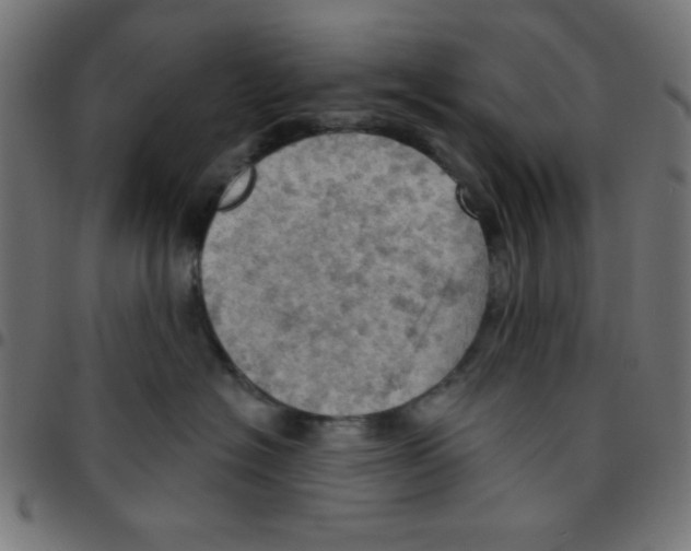 X0000096950574200803071031