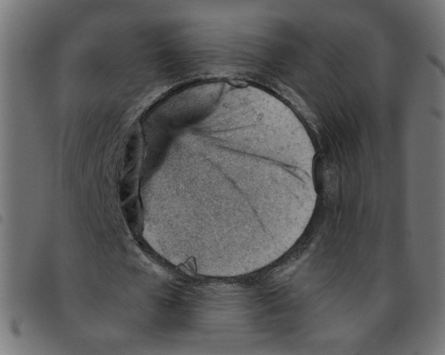 X0000096950577200803071030