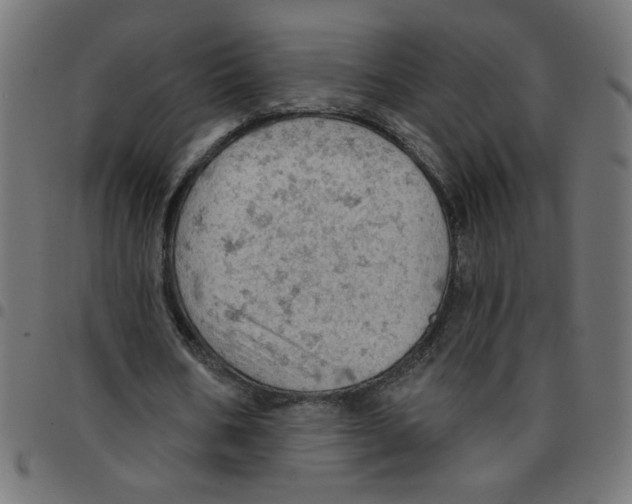 X0000096950578200803071030