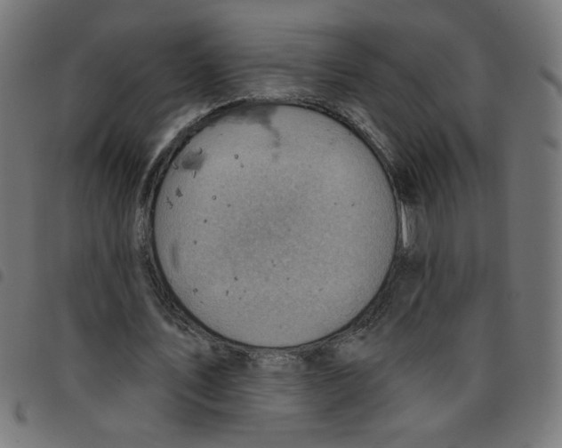 X0000096950579200803071030