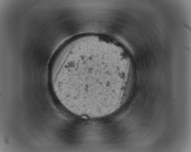 X0000096950580200803071030