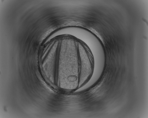 X0000096950581200803071030