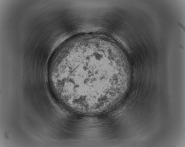 X0000096950582200803071030