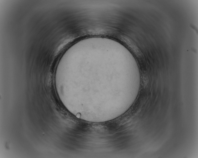 X0000096950583200803071030