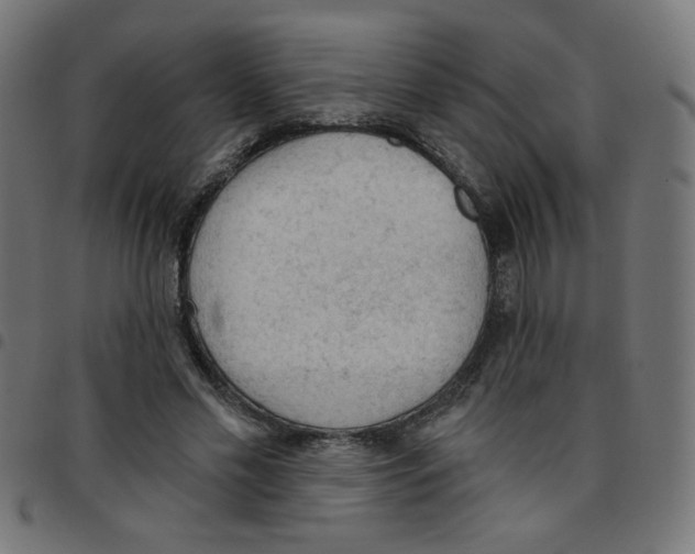 X0000096950589200803071030