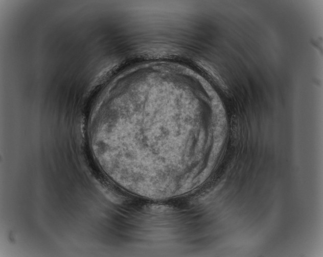 X0000096950590200803071030