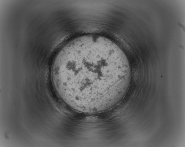 X0000096950591200803071030