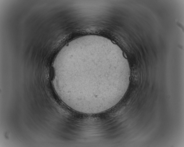 X0000096950593200803071030