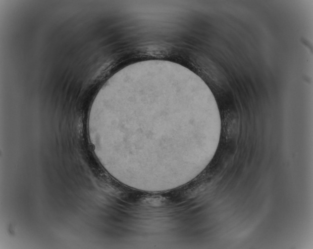 X0000096950595200803071030