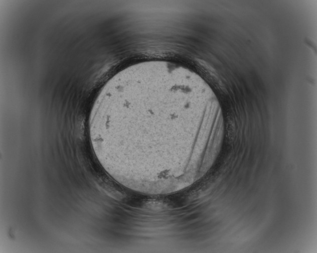 X0000096950596200803071030