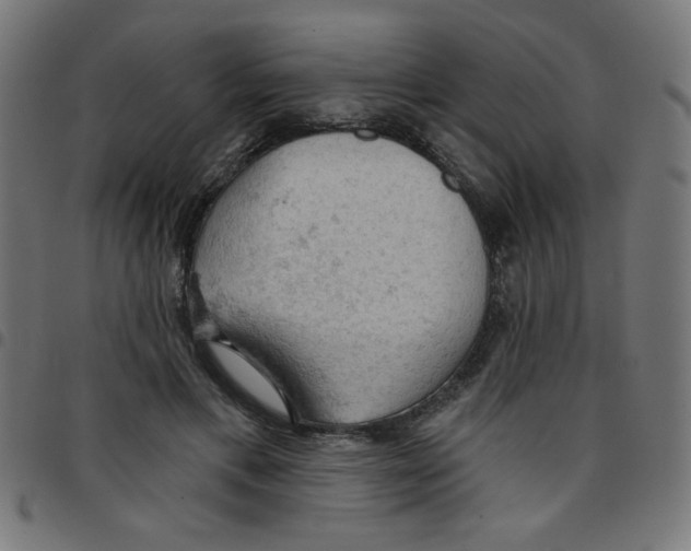 X0000096950597200803071030