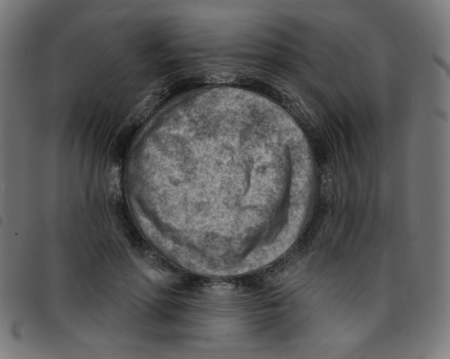 X0000096950598200803071030