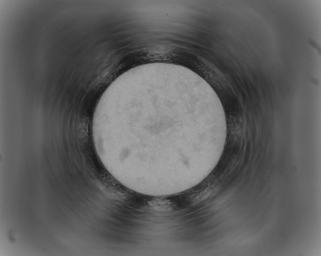 X0000096950603200803071030