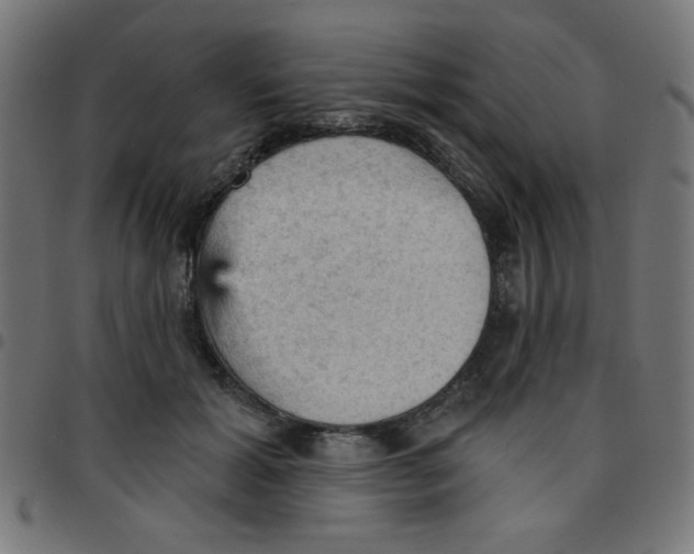 X0000096950605200803071030