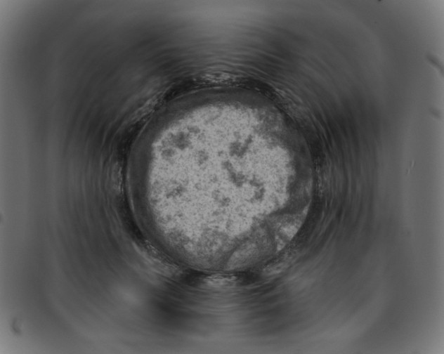 X0000096950606200803071030