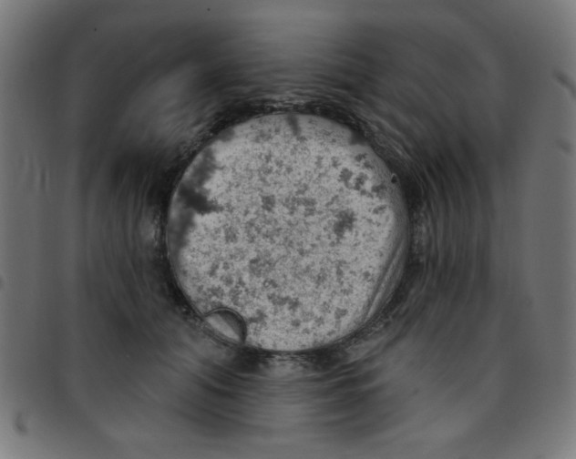 X0000096950608200803071030