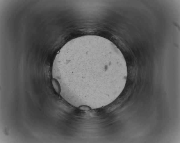 X0000096950612200803071029