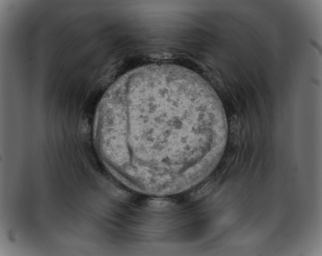 X0000096950614200803071029