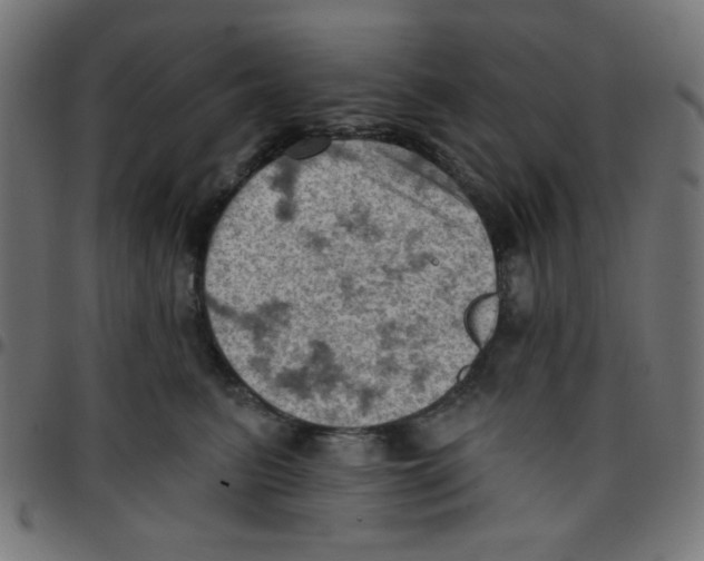 X0000096950615200803071029