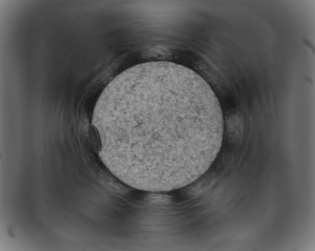 X0000096950617200803071029