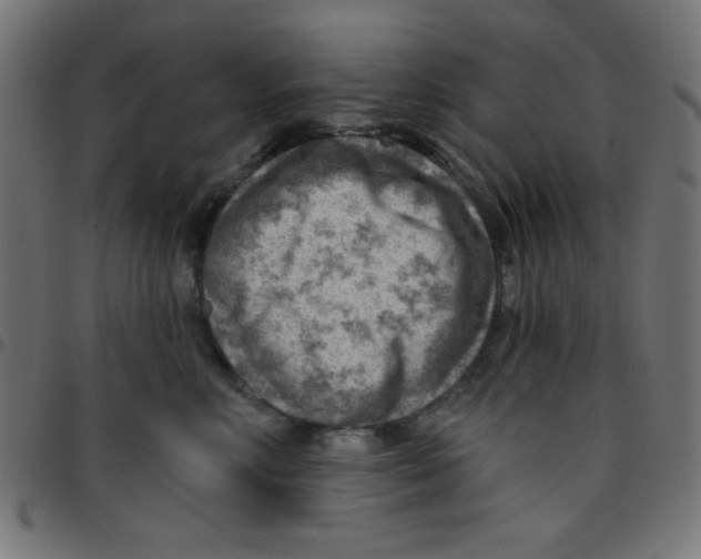 X0000096950618200803071029