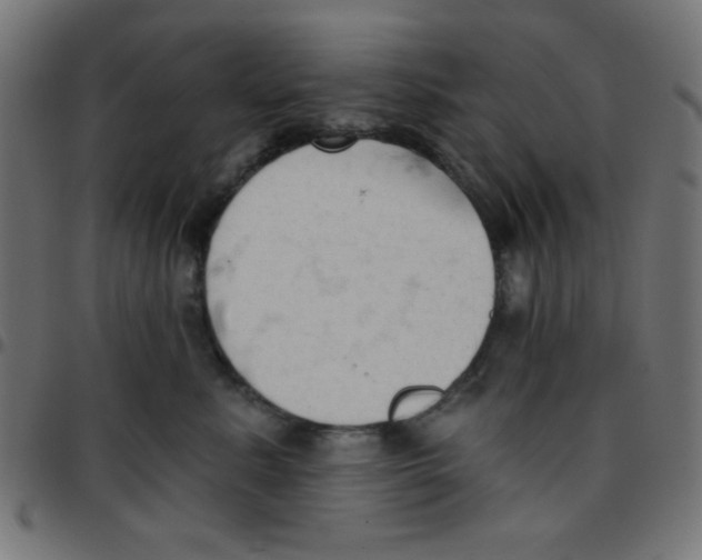 X0000096950619200803071029