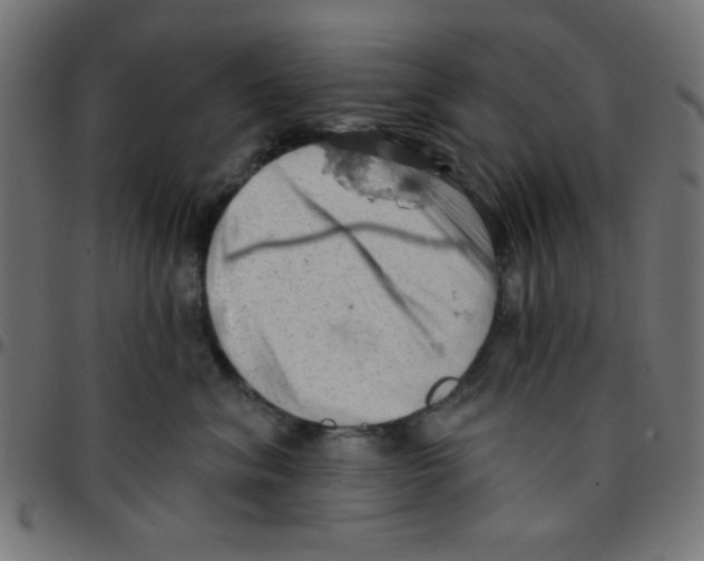 X0000096950620200803071029
