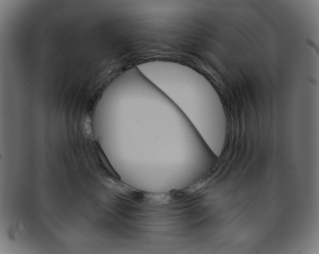 X0000096950621200803071029