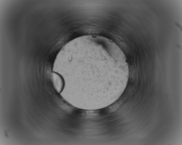 X0000096950622200803071029