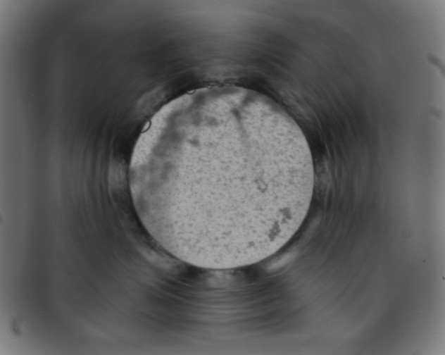 X0000096950623200803071029