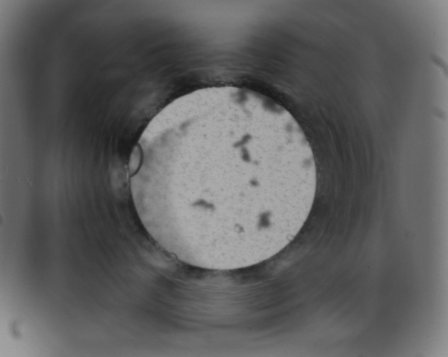 X0000096950624200803071029