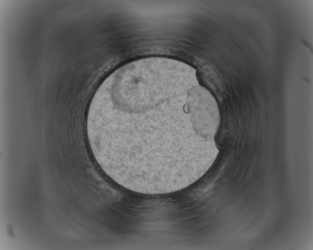 X0000096950625200803071029