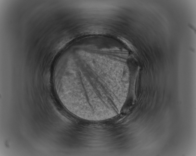 X0000096950627200803071029