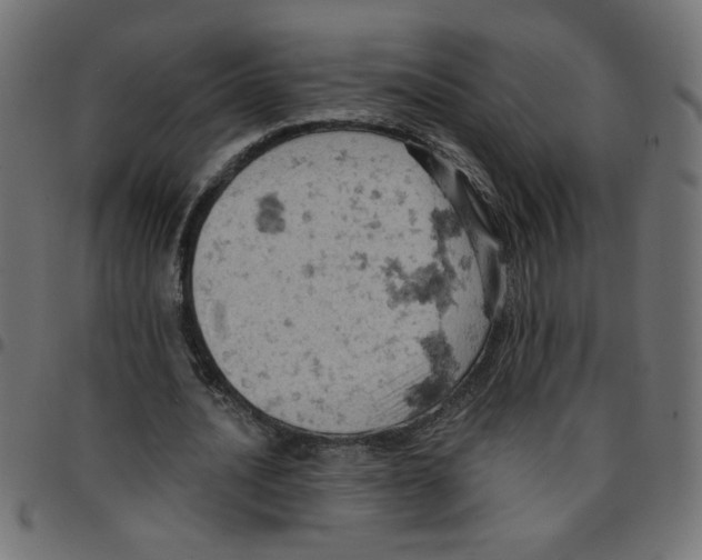 X0000096950628200803071029