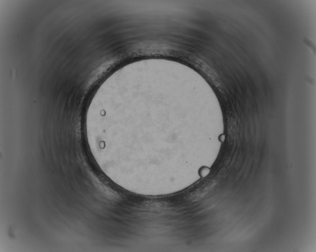 X0000096950629200803071029