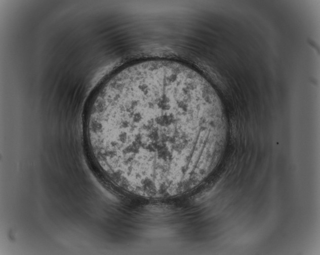 X0000096950630200803071029