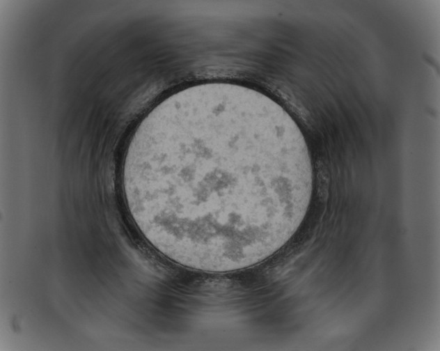 X0000096950631200803071029